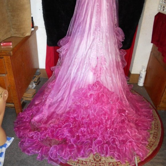 Hand Dyed Princess Wedding Gown/Costume - Picture 3 of 5
